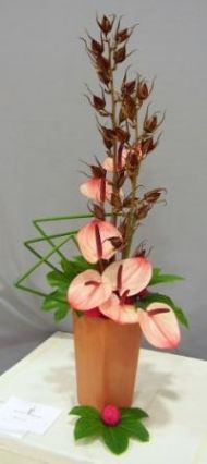 class 1 simply stunning (using 7 or fewer blooms)